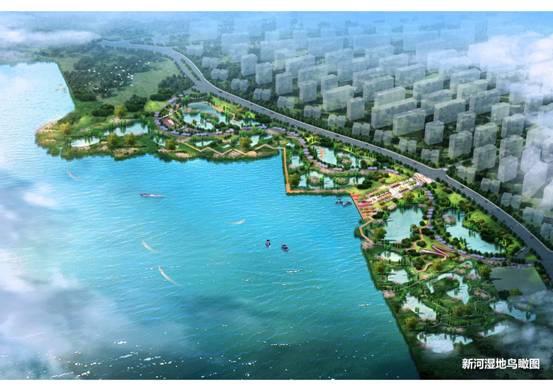 新河湿地建复建设工程成效图