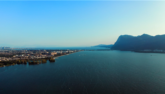 中原四时 | 令人神驰的湾区生涯，到底能带来什么？