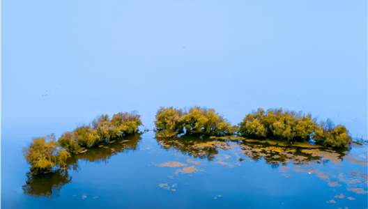 中原·澜台府 | 舒居于此，你与海鸥的距离只佑篆…