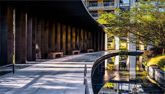 中原四时 | 湾区实景出现，一城所望不负等待