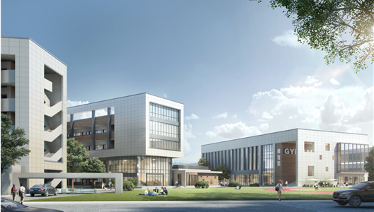 中原四时丨解锁“六”大成就，孩子的成长不止于书本