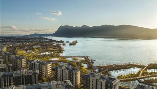 住过别墅之后，为什么我终选花圃大双层？｜精英湾区置业论