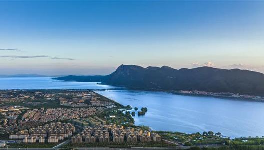 盛夏7月，湾区以清冷温顺相待