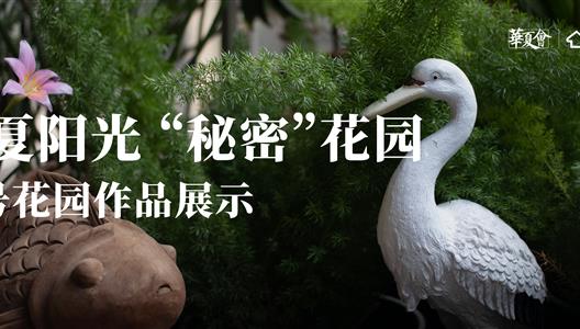 3308维多利亚线路检测中心丨三号参赛文章：与花鸟绿意相拥